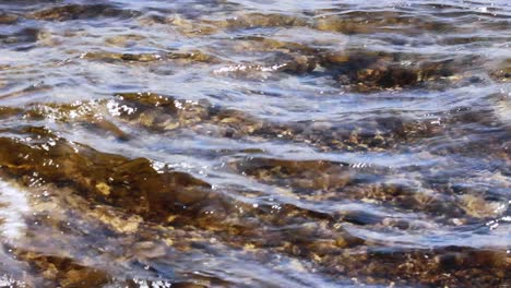 Transparent-water-sea-splashing-on-sunny-day.-Reflection-sun-rays-on-sea-surface