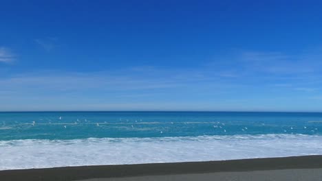 pov walk across stony shore as sea birds fly away on a beautiful summer's day - birdlings flat beach (new zealand)