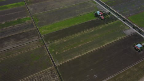 Reveal-and-Push-forward-aerial-shot-of-green-paddy-fields-with-sea-at-the-end