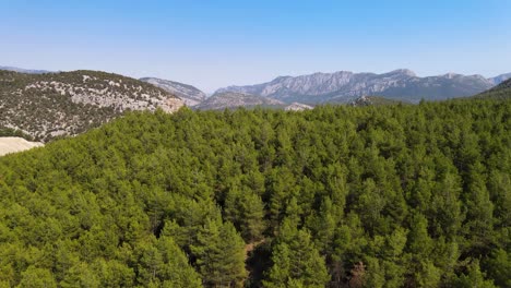 drone flight over green hills and a mountain road along which cars drive against the background of mountains and a snowy sky