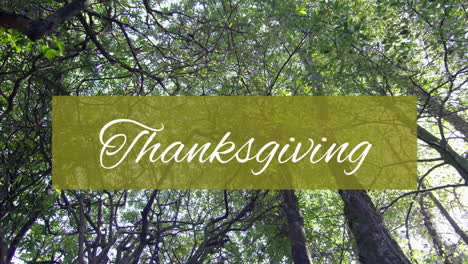 animation of thanksgiving text on green banner over trees