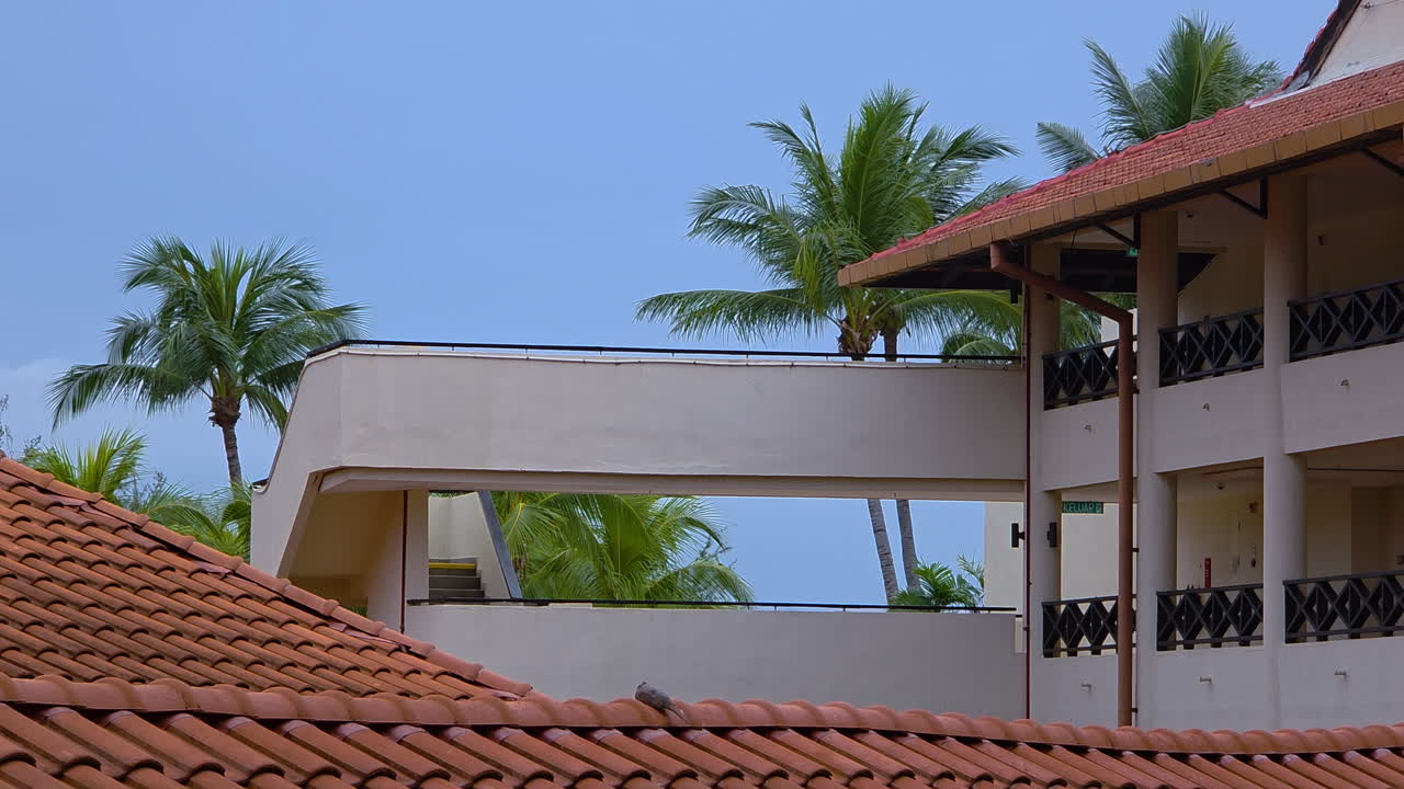 Hotel Buildings With Terracotta Roof Tiles And Palm Trees Swaying Behind. Kota Kinabalu, Sabah, Malaysia. panning shot