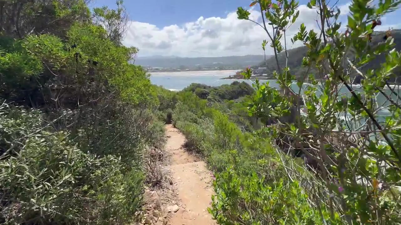 Um caminho estreito de terra serpenteia por uma vegetação exuberante ao longo dos penhascos de Knysna, oferecendo vistas da lagoa e da costa rochosa. África do Sul