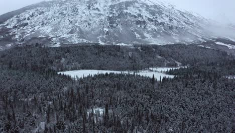 Drone-Flies-over-Trees-to-show-mountain-in-Alaska