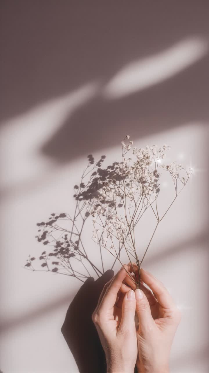 Aesthetic video concept with soft lighting and shadows. Close-up angle of hands holding delicate
