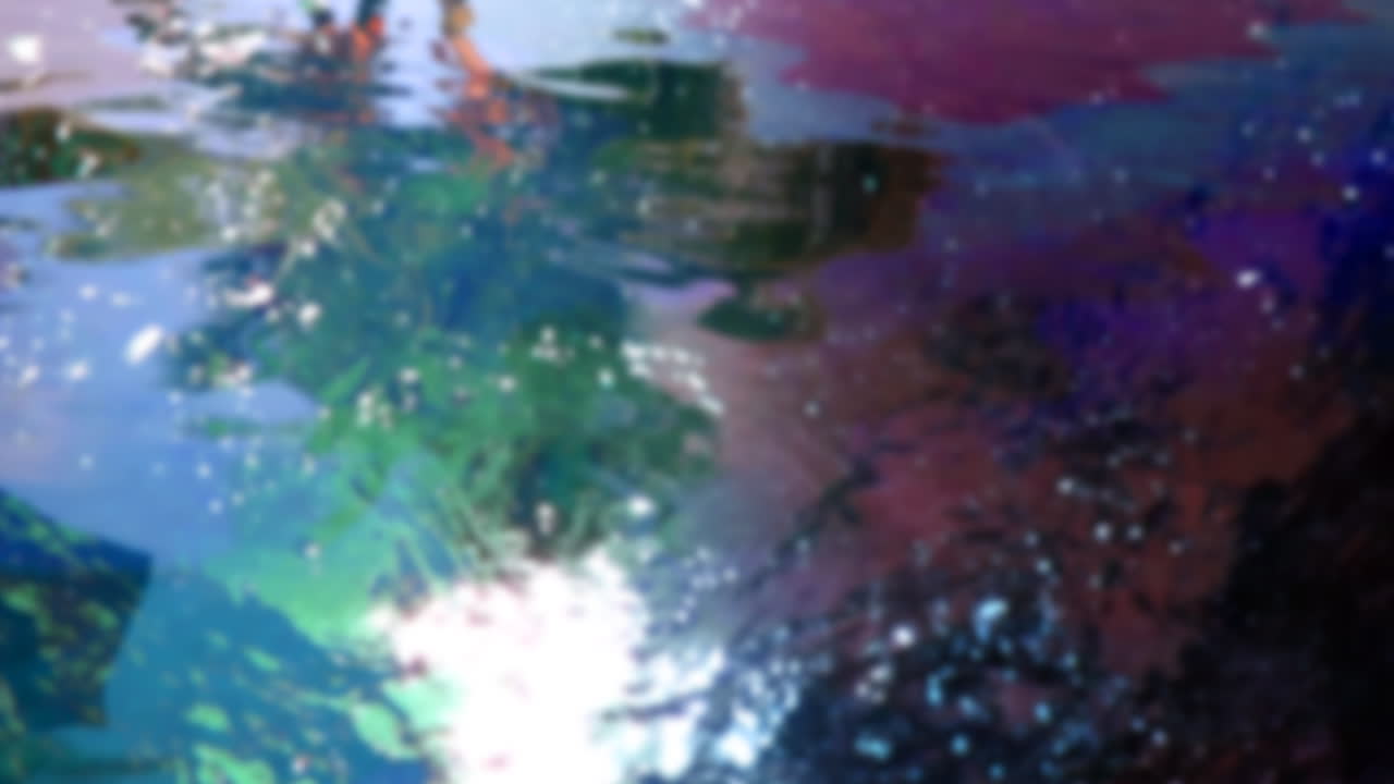 reflejo de la palma 03