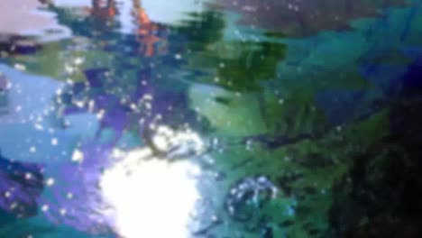 reflejo de la palma 03