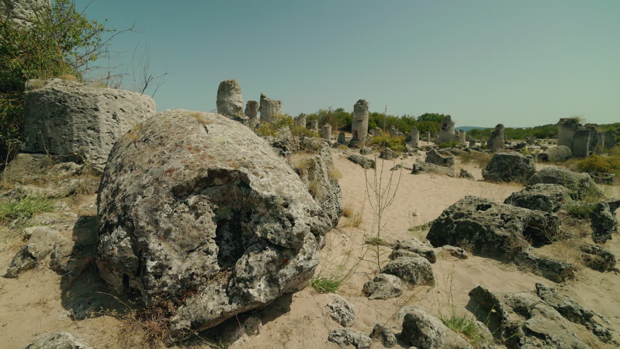 Pobiti Kamani Stone Forest in Bulgaria