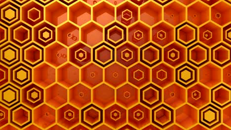 el fondo de los hexágonos