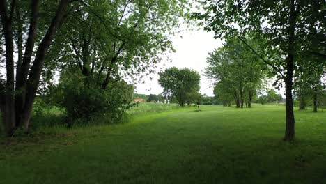 hole number 5