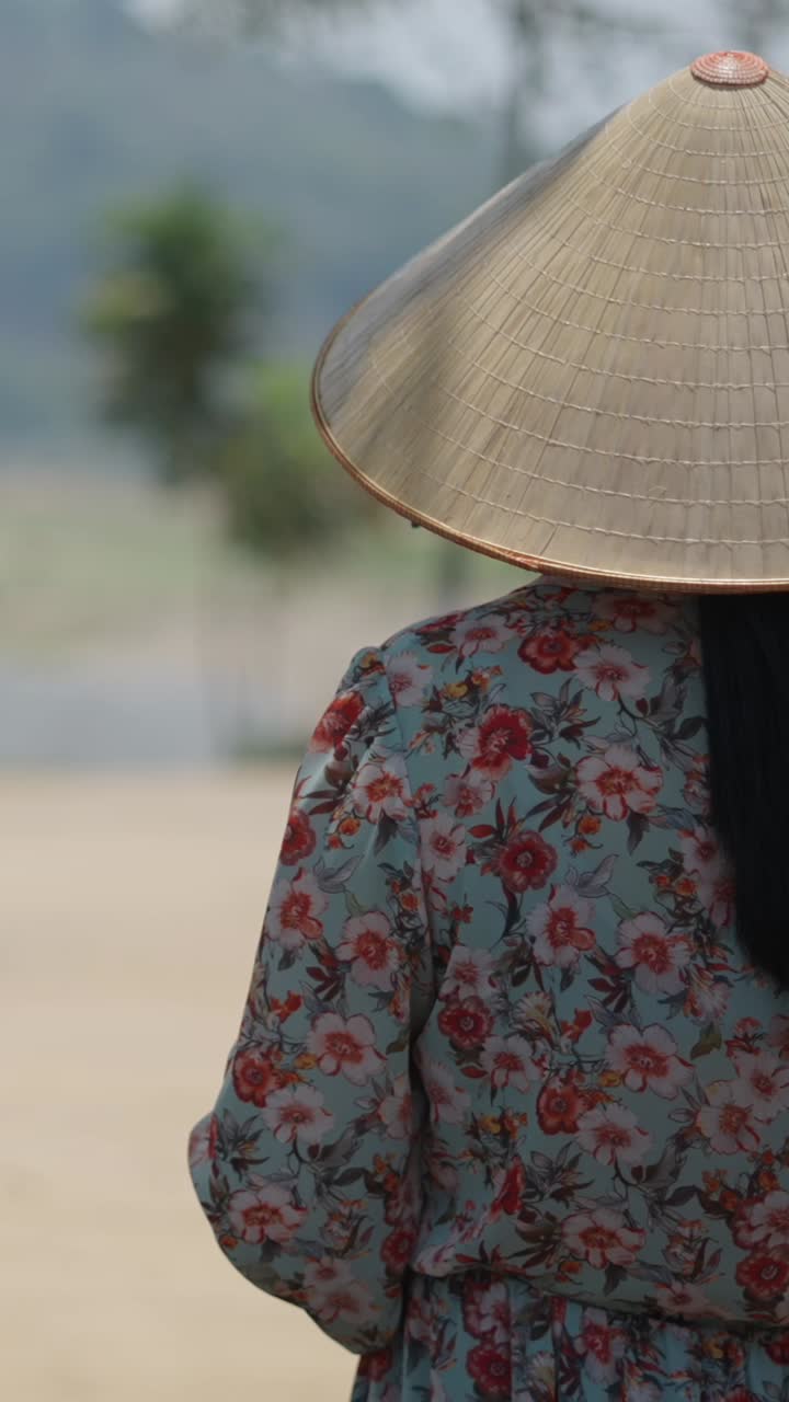 Elephant riding in a scenic landscape