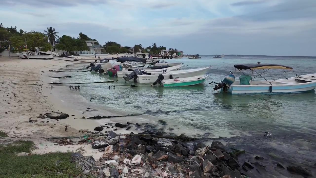 Gabbiani che volano sopra una tranquilla costa tropicale con barche a Los Roques in Venezuela.
