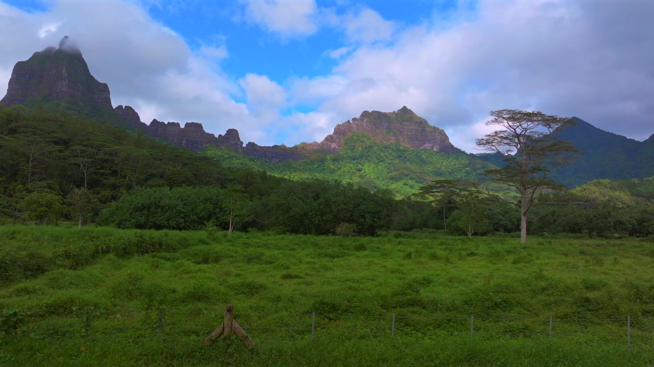 Belvedere utsiktsplats vandringsleder Moorea Franska Polynesien Mount Toheia Mt Rotui dal flygfoto drönare djungelträd frodigt grönt dramatiska vulkaniska taggiga bergstoppar solig morgon blå himmel moln uppåt