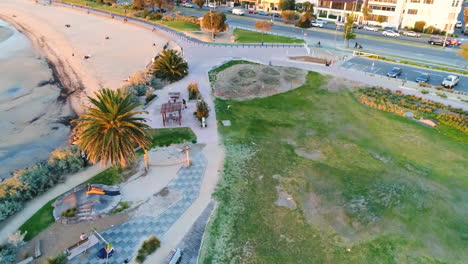 aerial view of seagulls slow motion