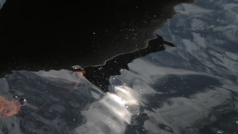 dark fresh water moving wavy lake dock broll leaves