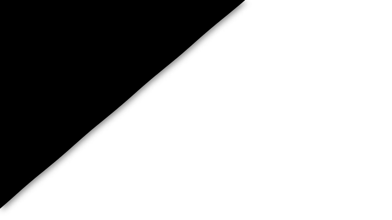 Abstract Diagonal Split Screen with Black and White Background