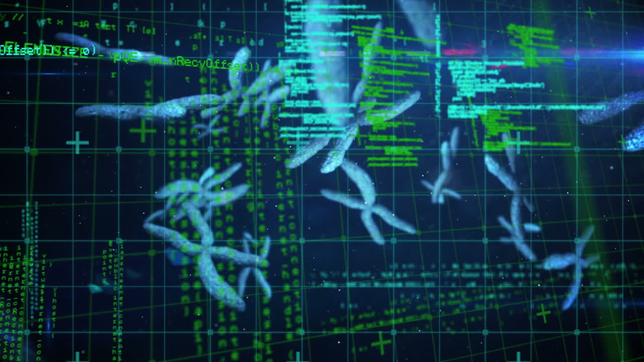 animación del procesamiento de datos sobre el cromosoma