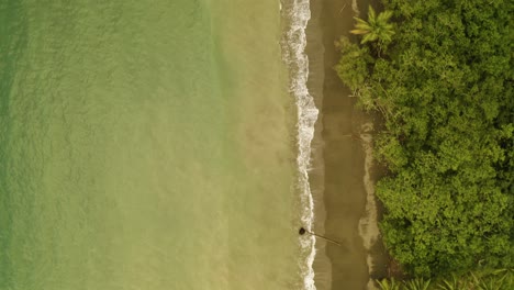 Aerial-shot-of-a-beach-on-the-Pacific-Coast,-Colombia
