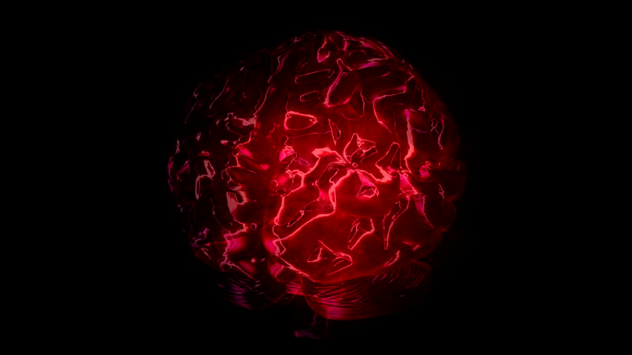 Syklisk roterende datamodell av menneskehjernen. Animasjon med alfakanal.
