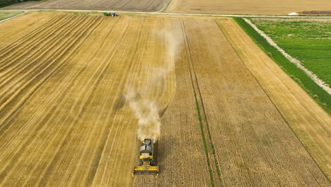 Vista-Aérea-De-Una-Cosechadora-En-Acción-En-Un-Campo-De-Trigo-Dorado,-Dejando-Un-Rastro-De-Polvo-Mientras-Trabaja.