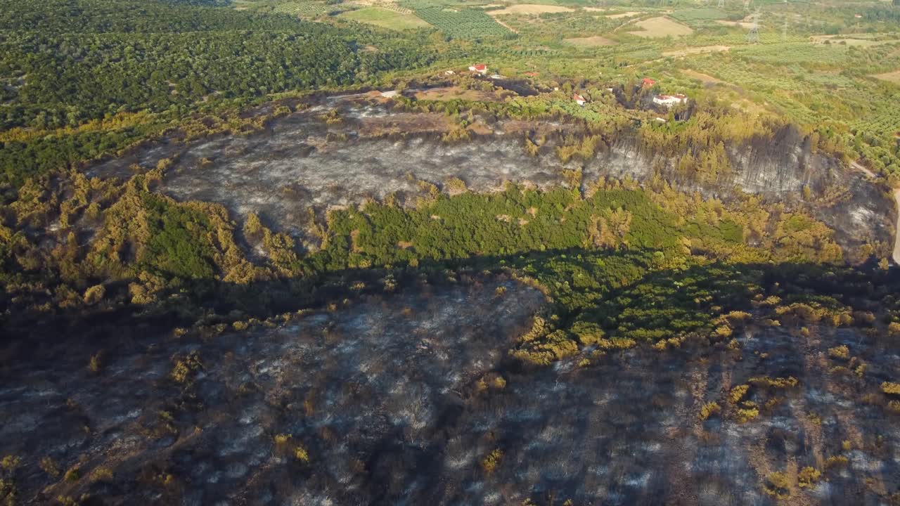 pan aérea sobre el bosque quemado que fue destruido por incendios forestales en el norte de grecia, agosto de 2023