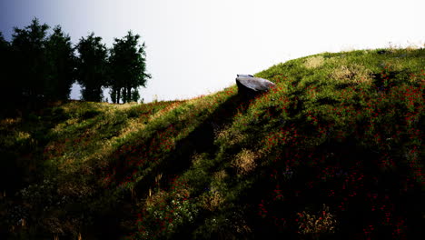 Idyllic-landscape-in-the-Alps-with-fresh-green-meadows-and-blooming-flowers