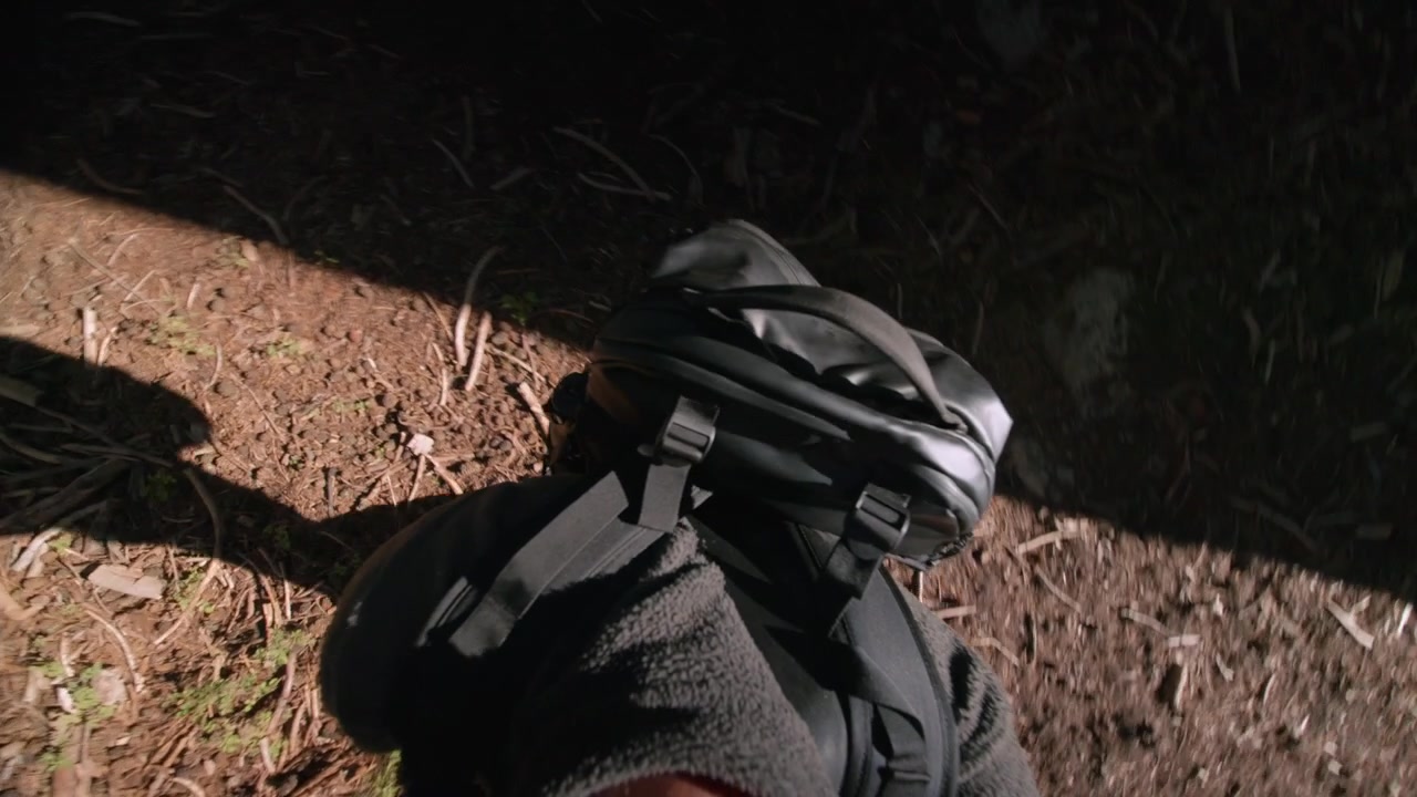A close up POV shows a hiker's backpack and legs moving through the forest.