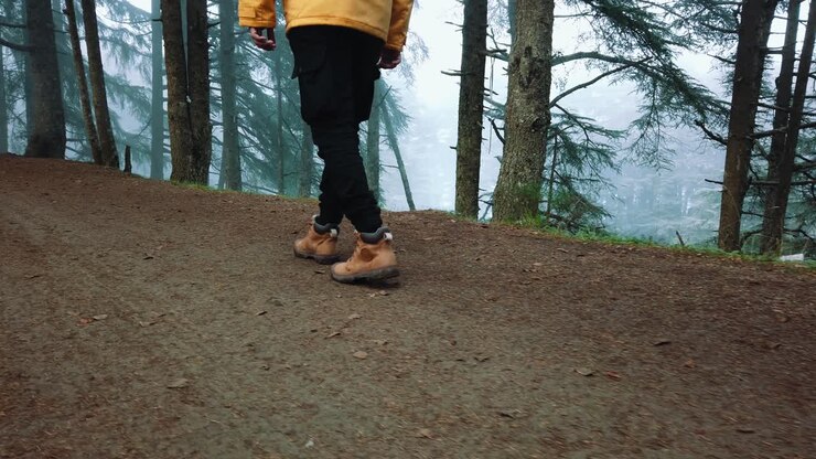 Follow shot of male sneackers or hiking shoes walk in soil road inside forest