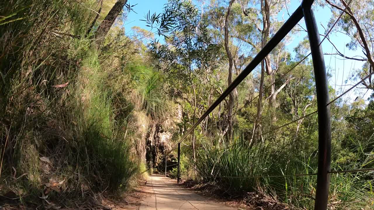 un viaje a través de un camino de naturaleza exuberante y verde