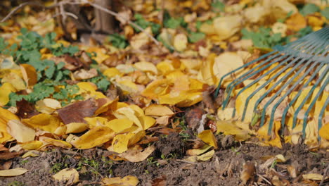 Rechen-Harken-Gefallenes-Laub-Im-Garten