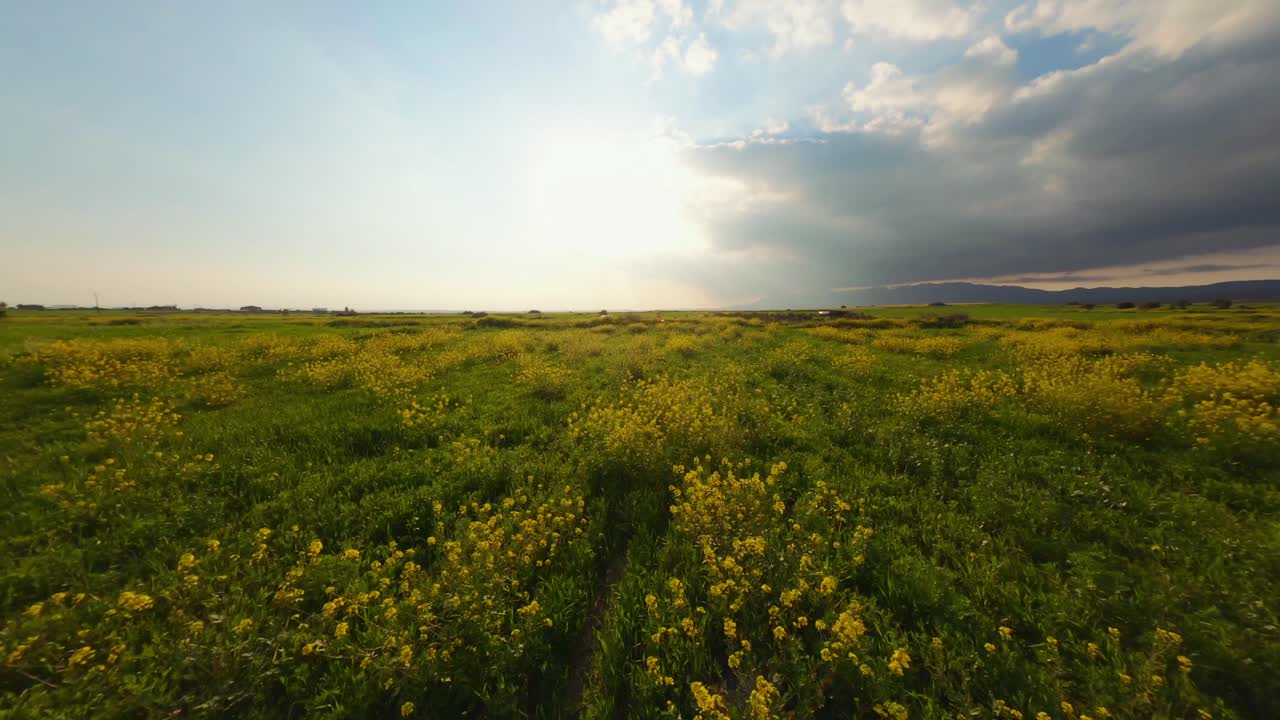 드론이 노란 꽃을 들고 들판을 달리는 소녀 위로 날고 있다