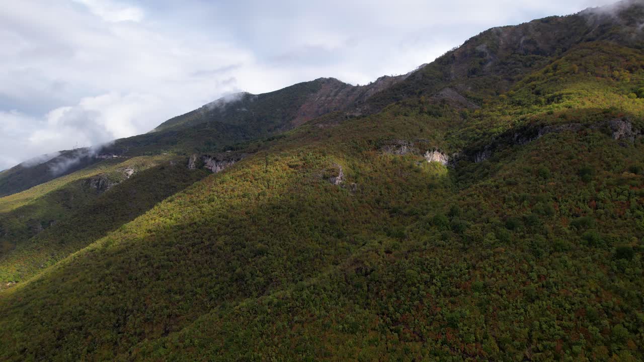volando sobre montañas cubiertas de bosques verdes humeantes después de la lluvia en otoño