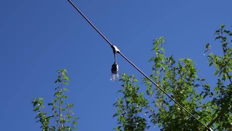 dim inline lightbulb lit on diagonal wire on blue sky summer day