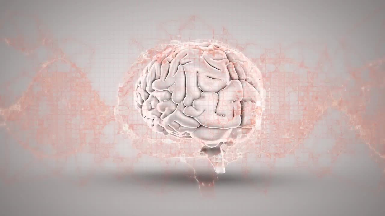 분홍색 디지털 파동의 디지털 애니메이션과 인간의 뇌가 회색 배경에 회전하고 있습니다.