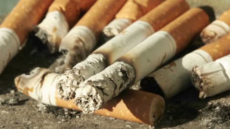 Time-lapse-of-cigarettes-burning-in-the-sun