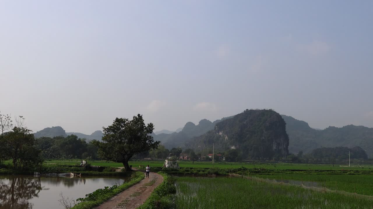 베트남 시골의 경치 좋은 산책
