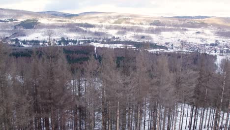 Winter-Landscape-Forests-In-The-Highlands-Of-Harz,-Northern-Germany