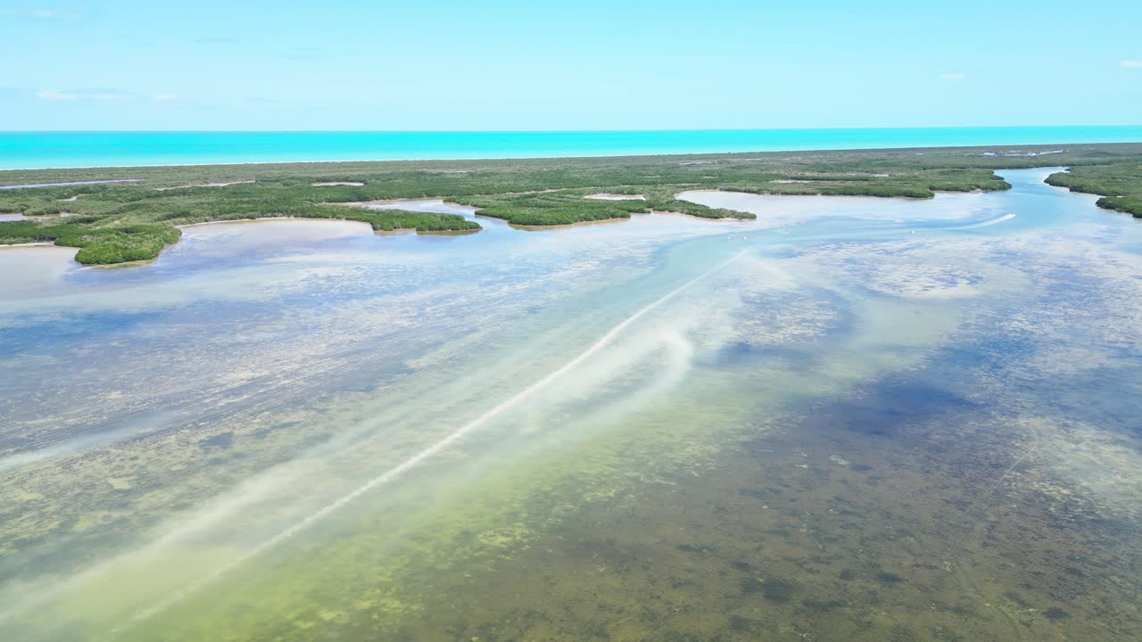 Clear blue ocean waters, aerial view over the serene mangrove coastline in Yucatán
