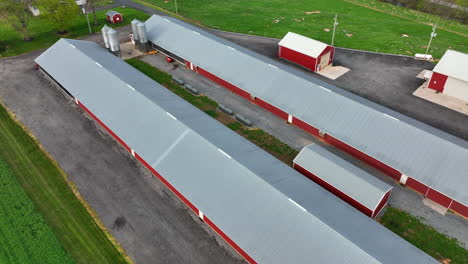 red chicken poultry house barns for birds