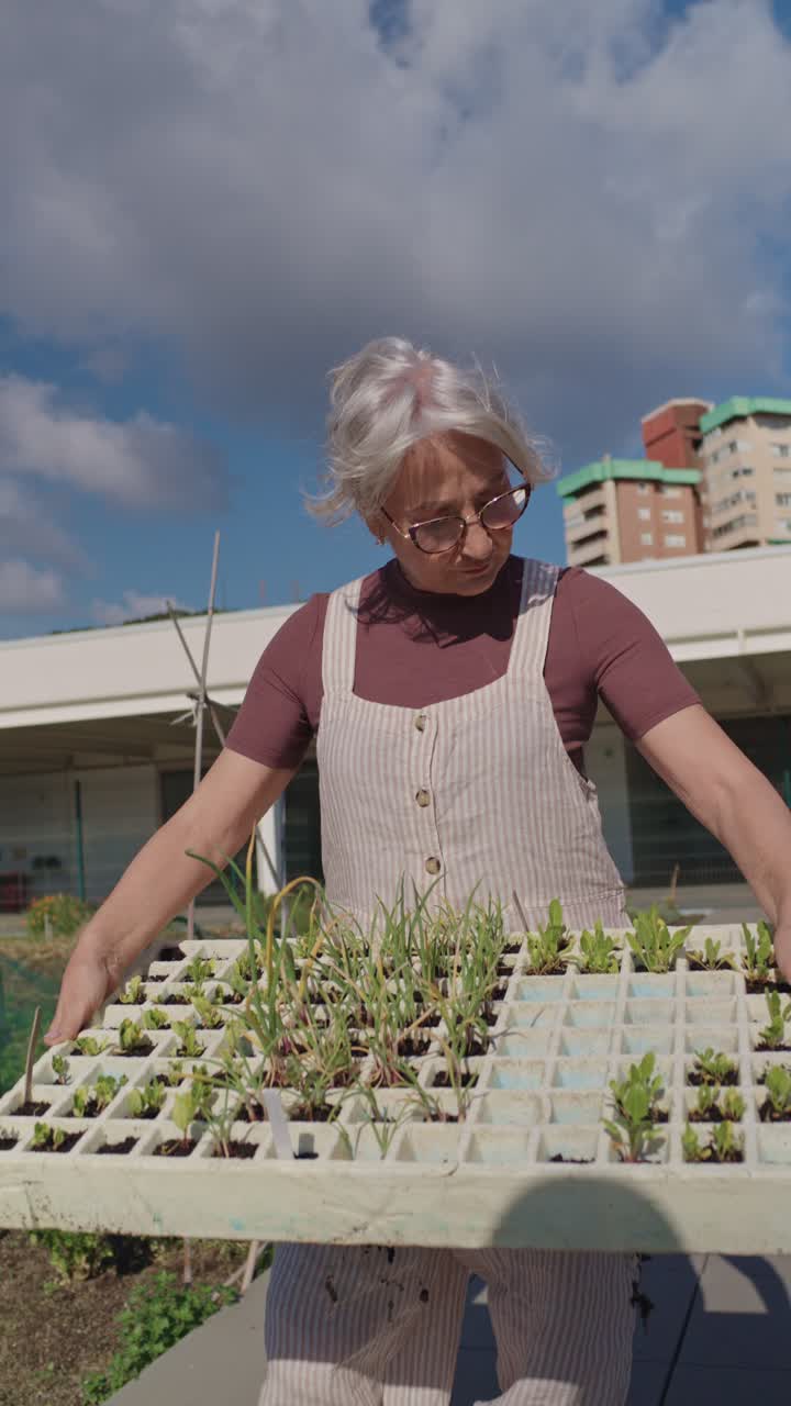 Senior woman gardening with plants and seedlings on rooftop garden