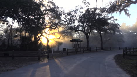 Die-Sonne-Geht-Durch-Den-Nebel-In-Den-Everglades-Von-Florida-Aufgla