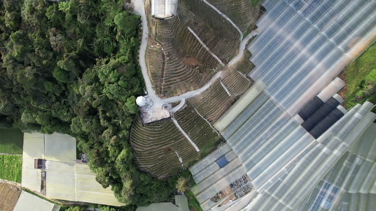 말레이시아의 카메론 하이랜드 지역 내의 브린창 지역의 일반 풍경