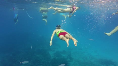 several peoplesnorkeling in an immense turquoise ocean, surrounded by an array of marine creatures