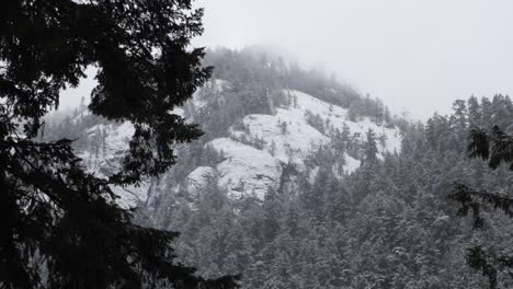 Plano-Medio,-Panoramización-A-Través-De-Una-Montaña-Nevada-Mientras-Cae-La-Nieve