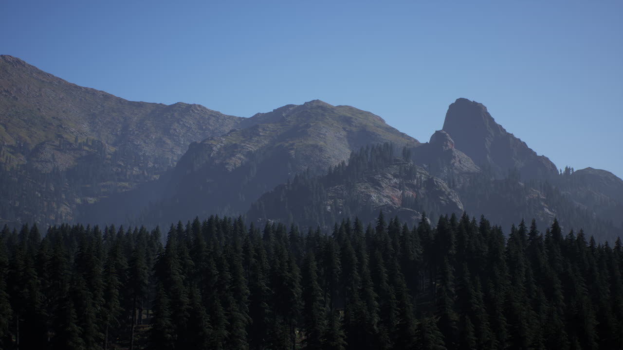 majestuosa cordillera con bosque de coníferas