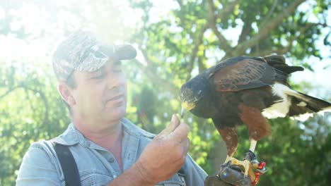 Mann-Füttert-Falkenadler-Auf-Seiner-Hand