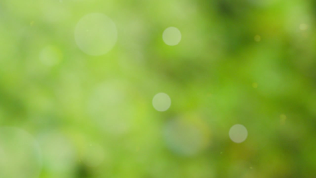 fondo de verano abstracto con bokeh