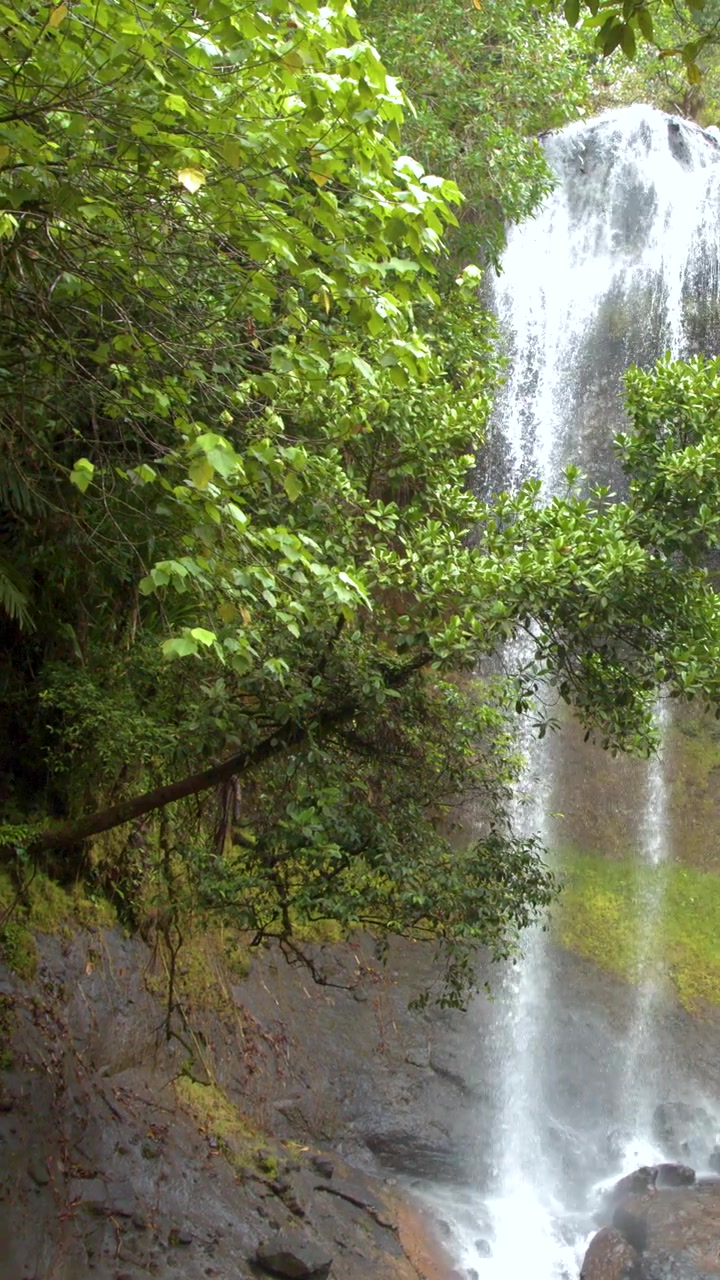 Un lento paneo de cámara revela una potente cascada cayendo sobre rocas en una exuberante selva tropical.