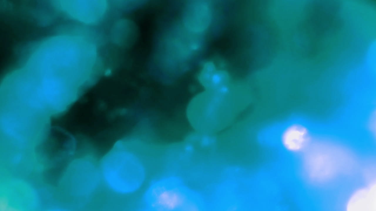 Particelle astratte verde acqua luminose in movimento su sfondo nero