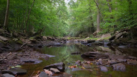 Creek-in-the-woods-surrounded-by-green-trees-and-rocks